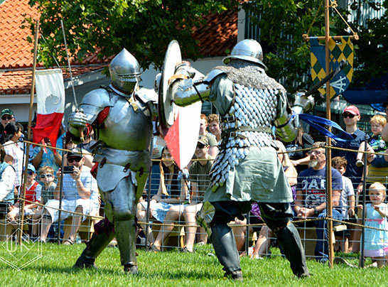 Her Majesty's Royal Guard